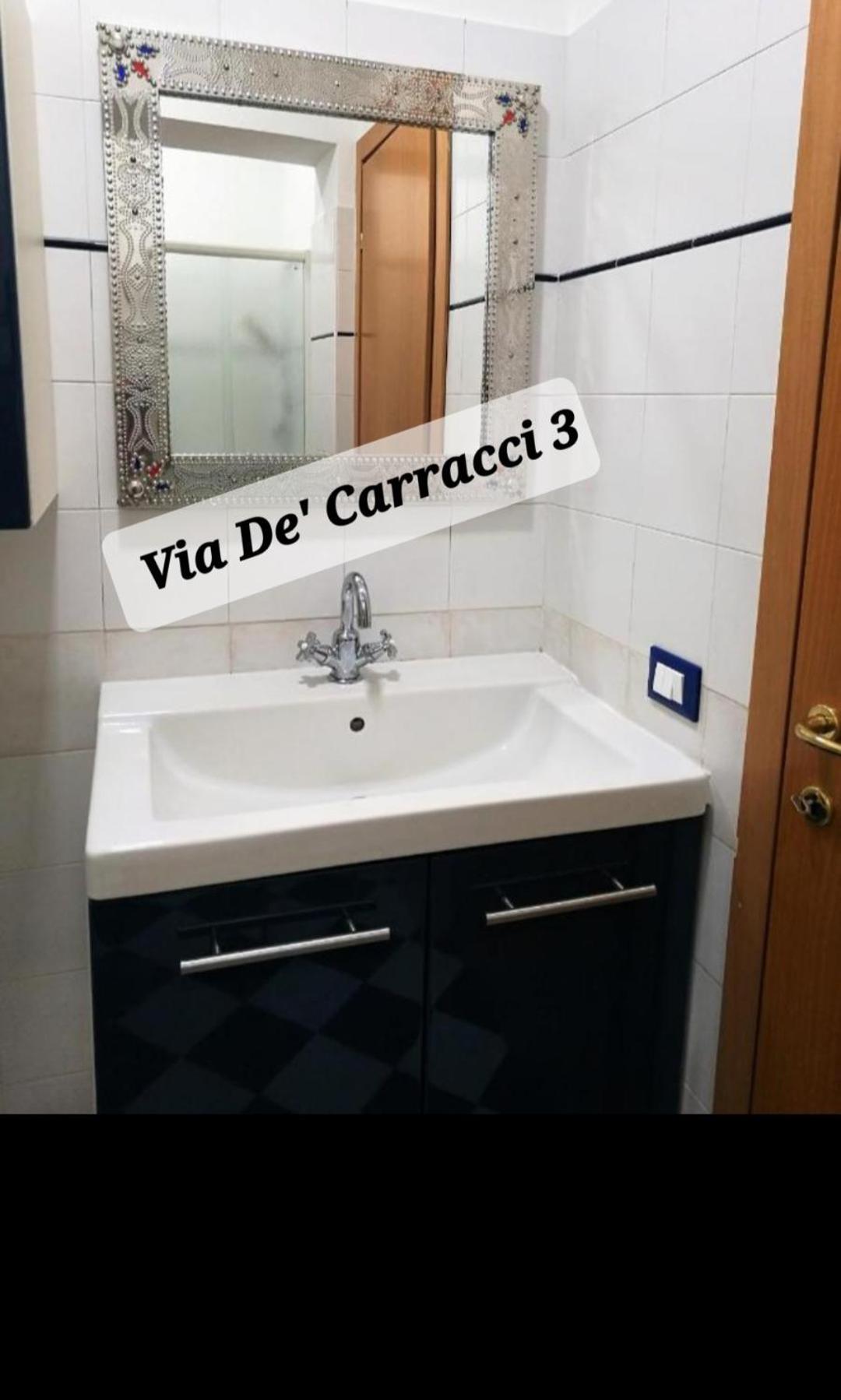 Via Matteotti & Via Carracci Apartments 博洛尼亚 外观 照片
